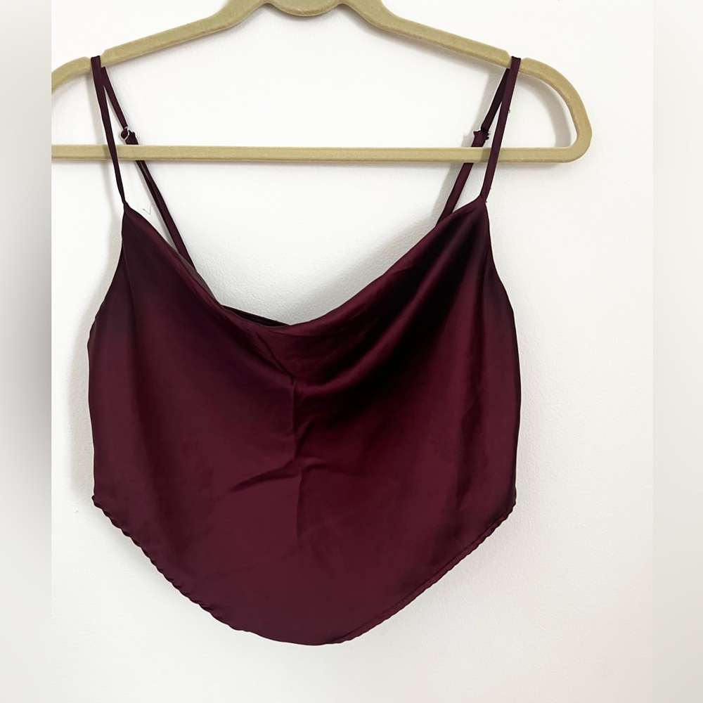 Cranberry/Merlot Wine Red Satiny Crop Top